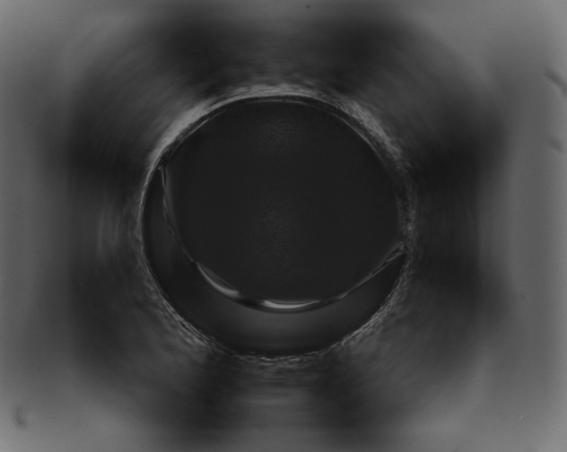 X0000092281173200710051138