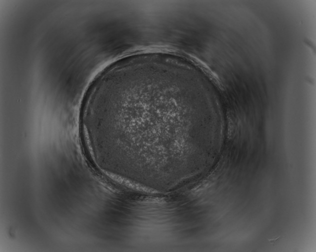 X0000092281174200710051138