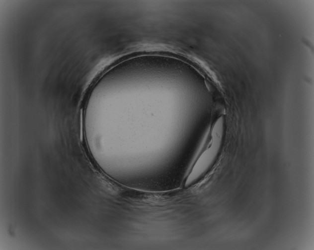 X0000092281175200710051138