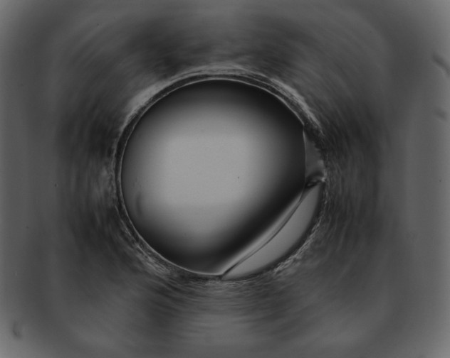 X0000092281176200710051138