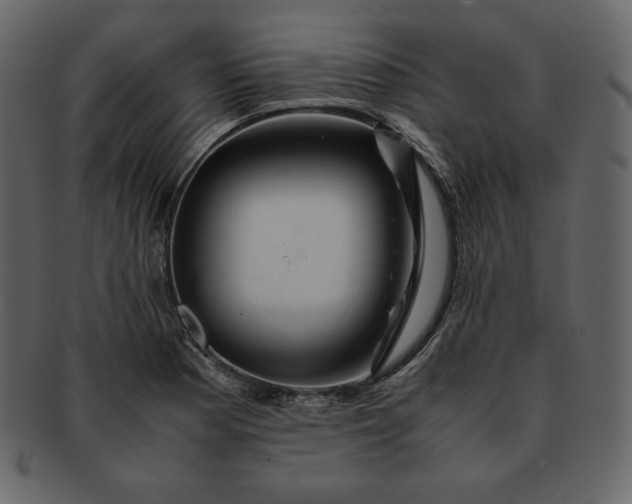 X0000092281177200710051138