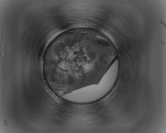 X0000092281179200710051138