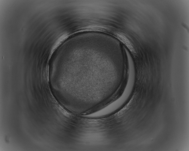 X0000092281180200710051138