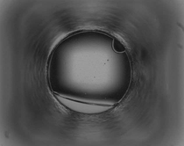 X0000092281183200710051138