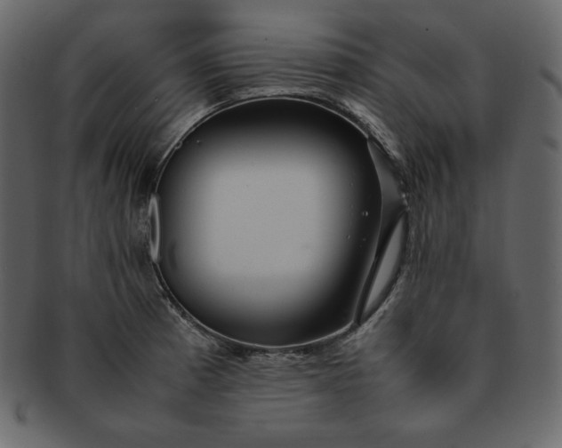 X0000092281185200710051138