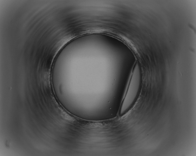 X0000092281186200710051138