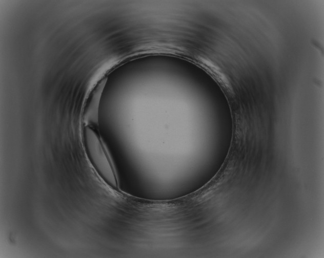 X0000092281188200710051138