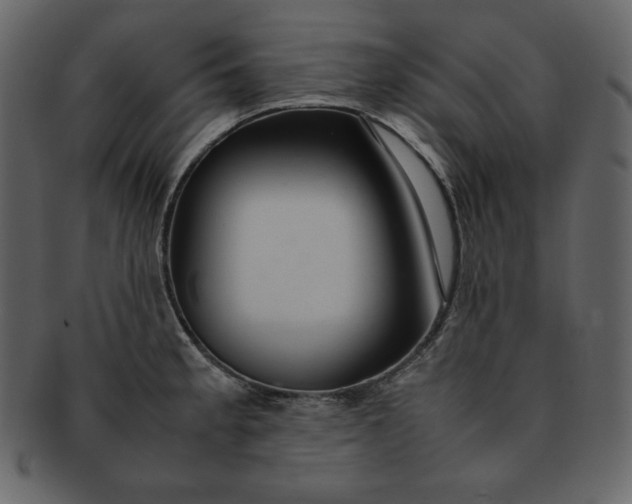 X0000092281189200710051138