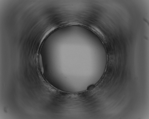 X0000092281190200710051138