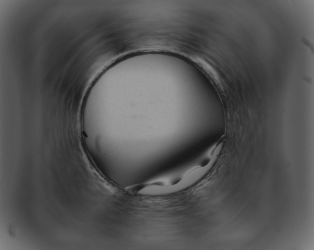 X0000092281191200710051138