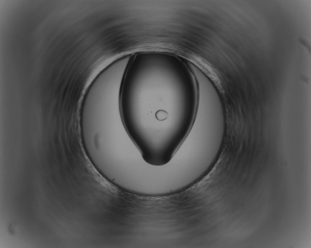 X0000092281192200710051138