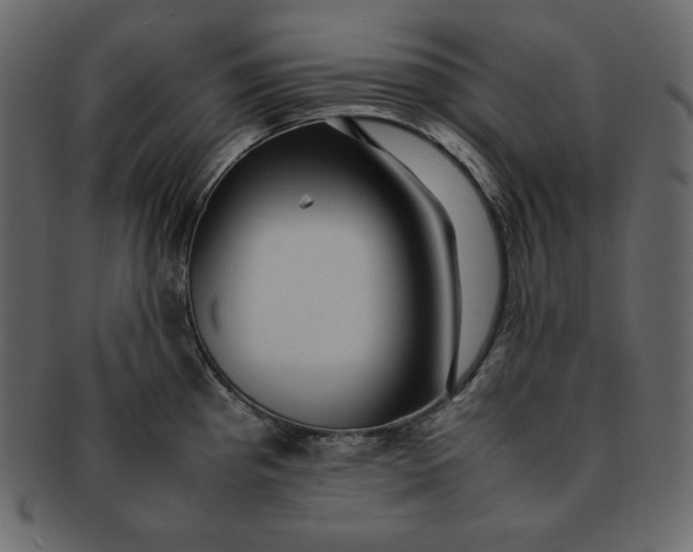 X0000092281193200710051138