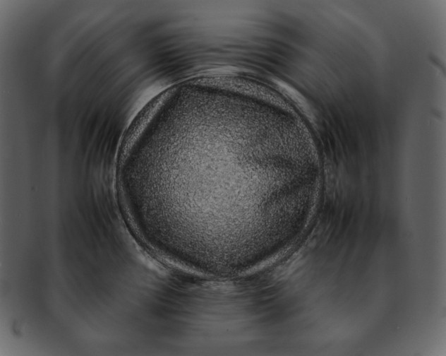 X0000092281194200710051138