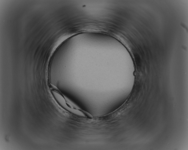 X0000092281195200710051138