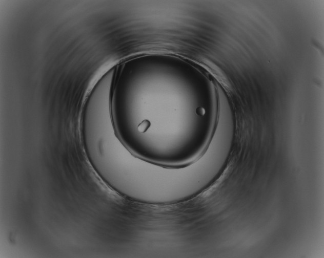 X0000092281196200710051138