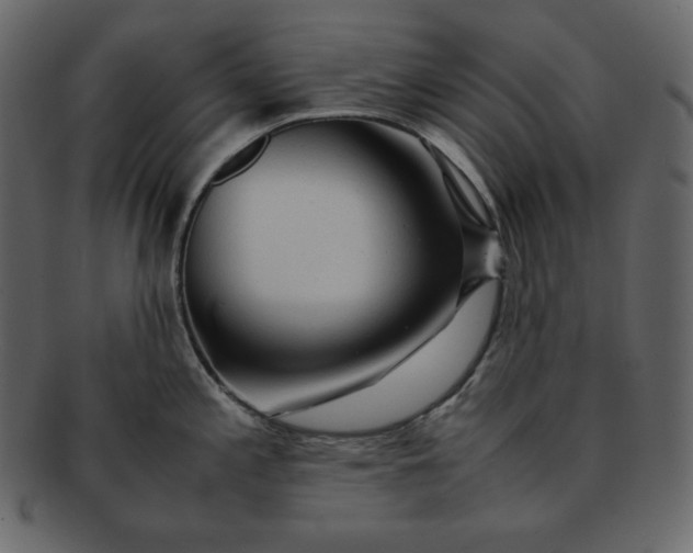 X0000092281197200710051138