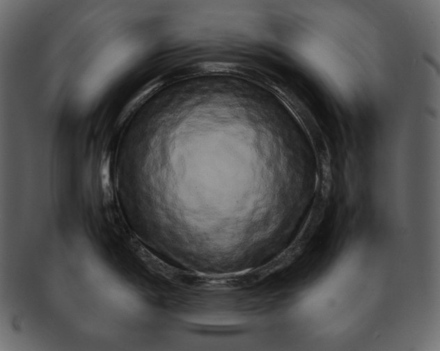 X0000092281198200710051137