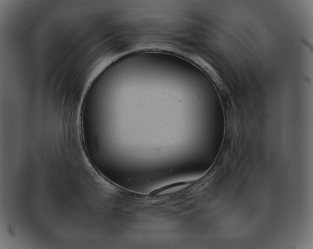 X0000092281199200710051137