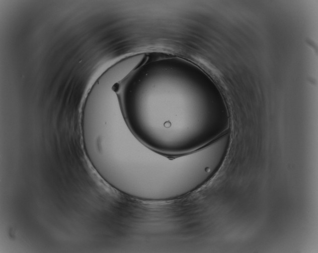 X0000092281200200710051137