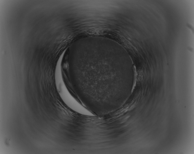 X0000092281202200710051137