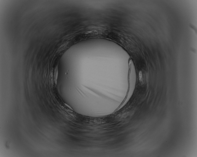 X0000092281203200710051137