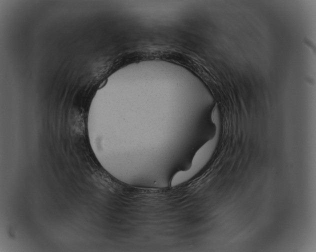 X0000092281204200710051137