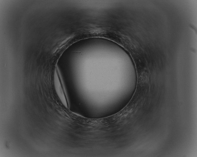 X0000092281205200710051137