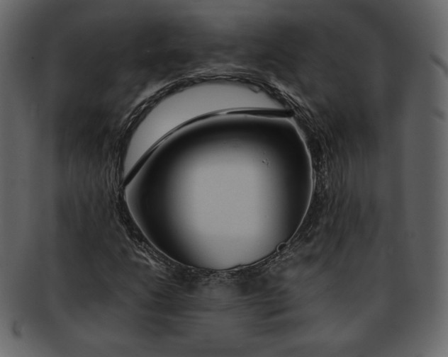 X0000092281206200710051137