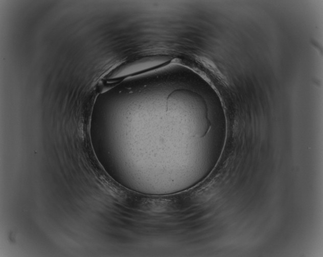 X0000092281209200710051137