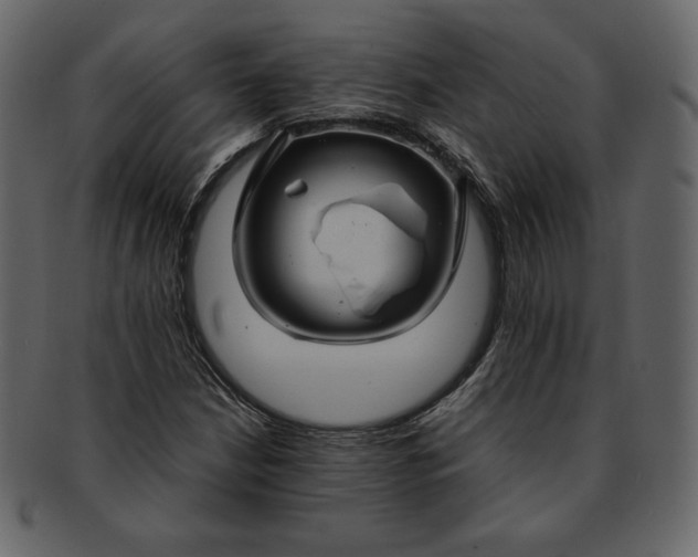 X0000092281210200710051137