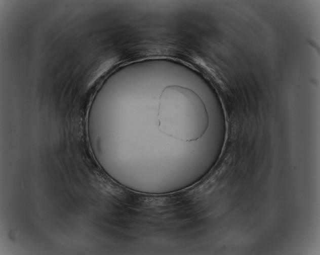 X0000092281211200710051137