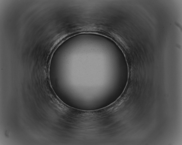 X0000092281212200710051137