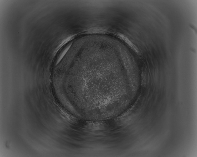 X0000092281213200710051137