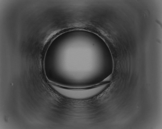 X0000092281214200710051137