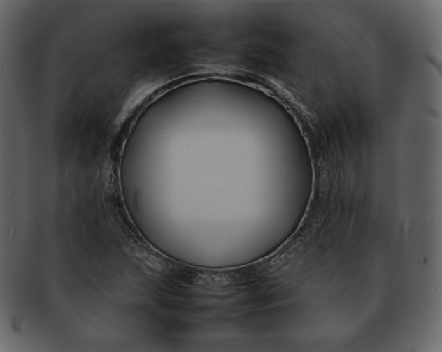 X0000092281215200710051137