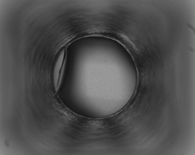 X0000092281217200710051137