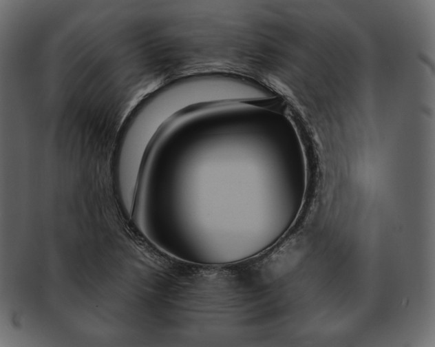 X0000092281218200710051137