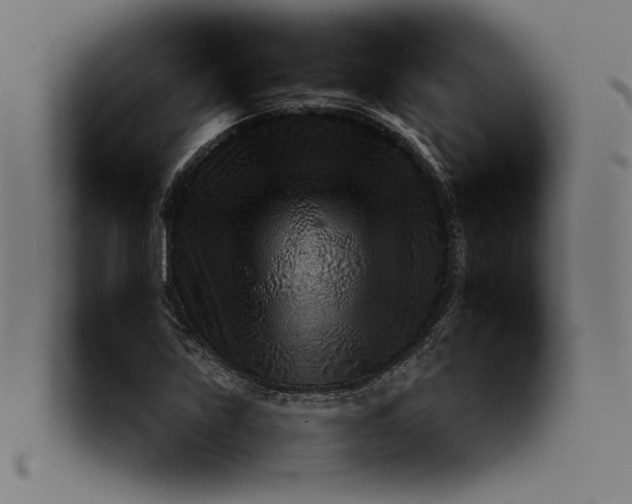 X0000092281219200710051137