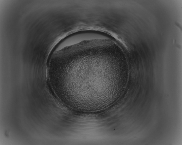 X0000092281221200710051137