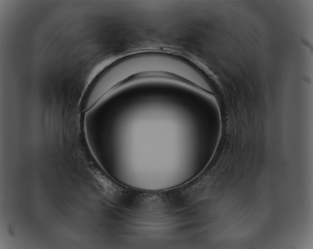 X0000092281222200710051137