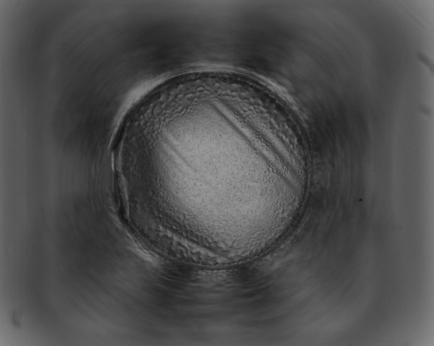 X0000092281223200710051137