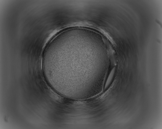 X0000092281224200710051137