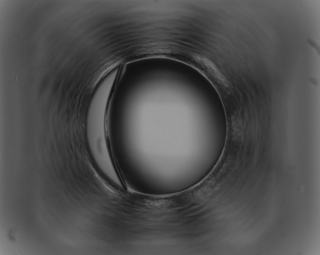 X0000092281225200710051137