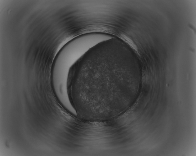 X0000092281226200710051137