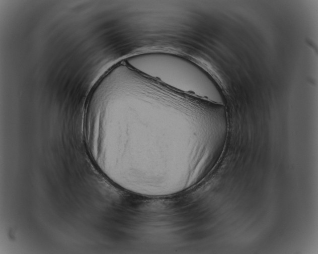 X0000092281228200710051137