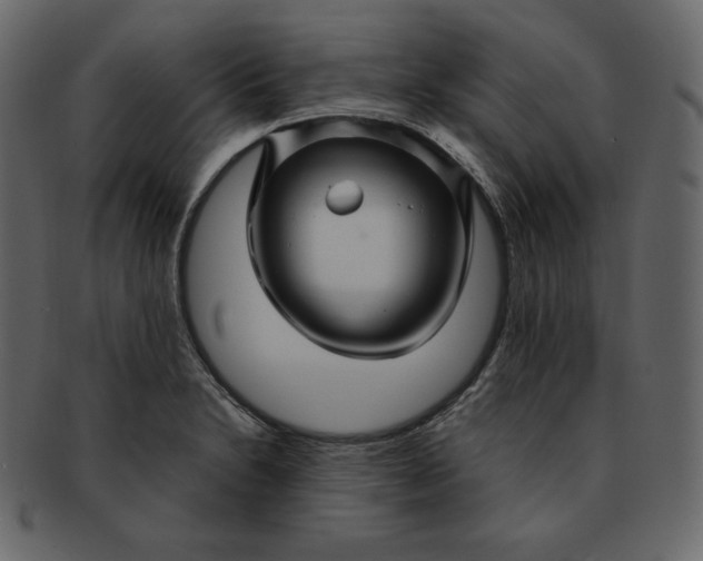 X0000092281230200710051137