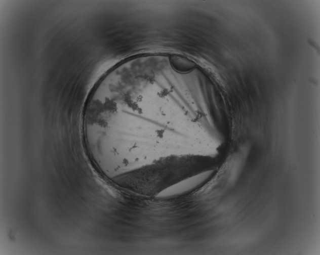 X0000092281231200710051137