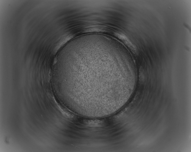 X0000092281233200710051137