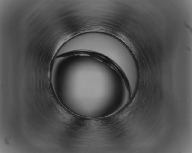 X0000092281234200710051137