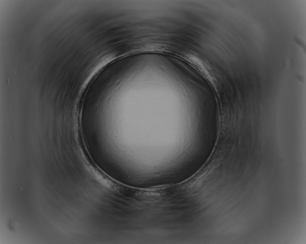 X0000092281235200710051137